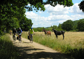 Cyklister i Vejle �-dalen