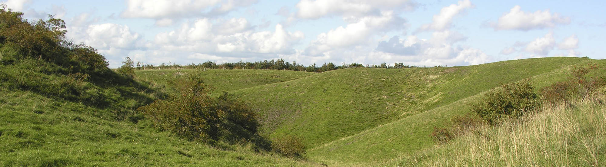 Nordby bakker, Sams�