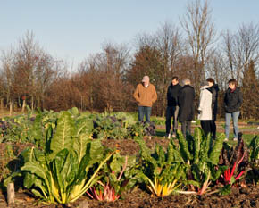 Fr�samlere i Den �kologiske Have