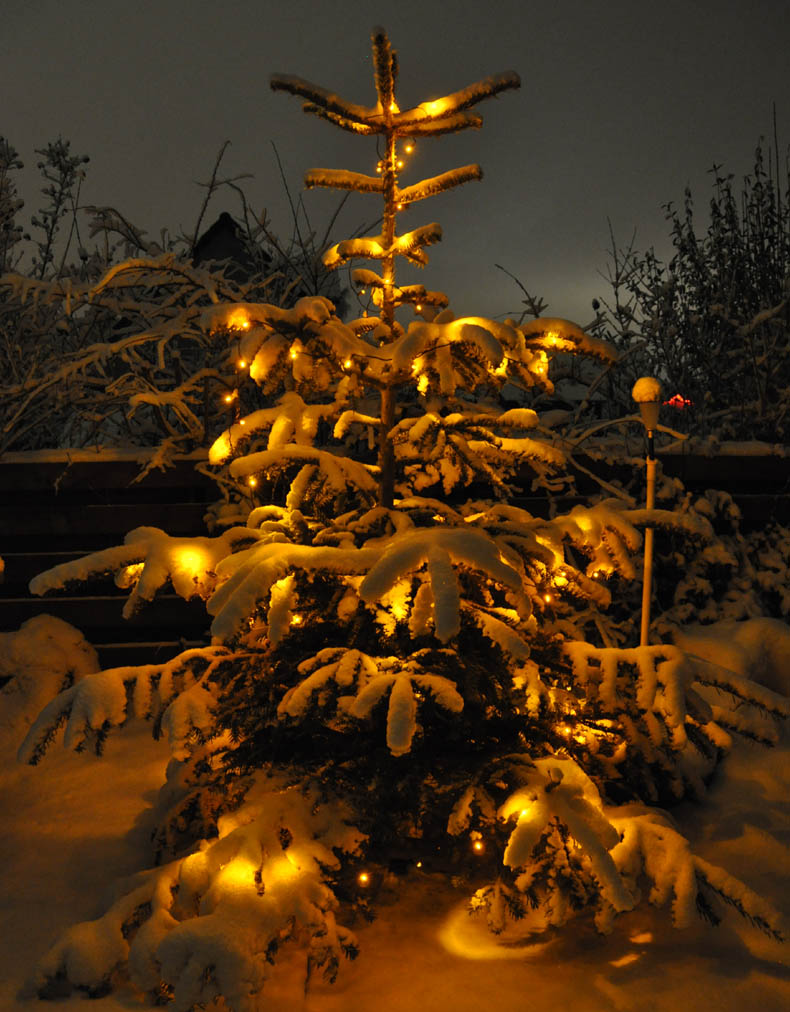 Juletr�et med sne p�