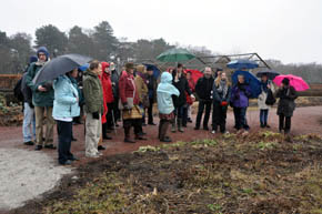 Fr�samlerne i Slottstr�dg�rden, Malm�