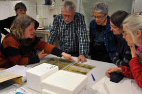 Fr�samlerne p� Nordisk Genbank