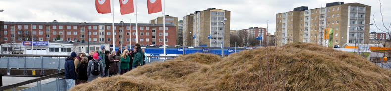 Fr�samlerne p� Gr�na tak