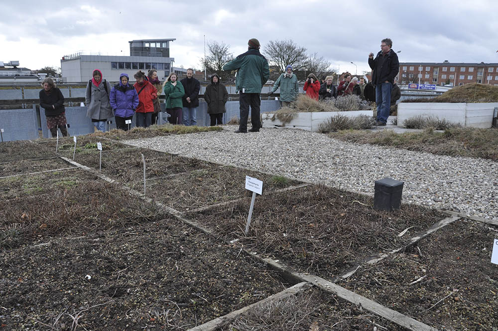 Gr�na Tak i Malm�