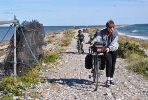 Cykeltur til Besser Rev, Sams�