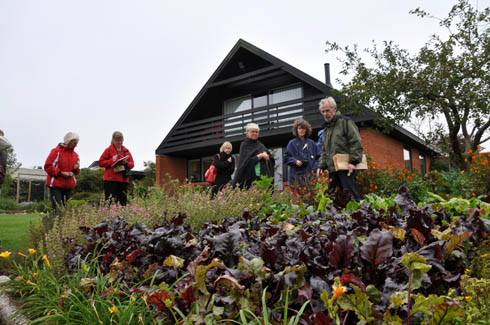 Fr�samlerne i Holstrbro Urtehave