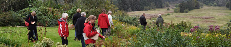 Fr�samlerkursus i Holstebro Urtehave