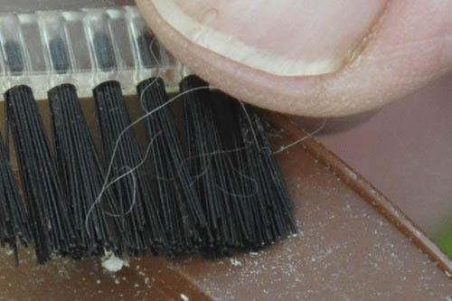 H�ndbest�vning af tomat.