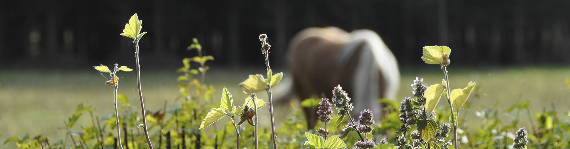 Fr�samler workshop i hyggelige omgivelser