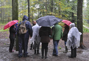 V�de fr�samlere i Den Jyske Skovhave