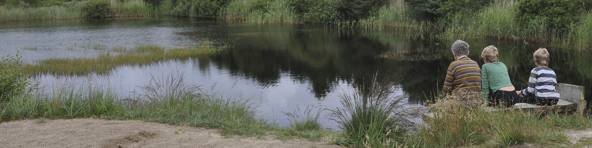 N�rre S�, Blokhus Klitplantage