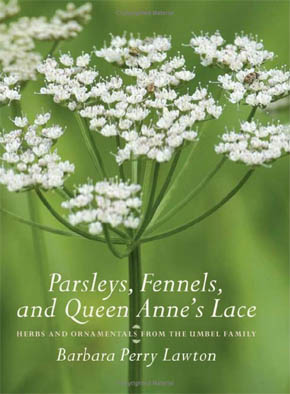 Parsleys, Fennels and Queen Anne�s Lace - Herbs and Ornamentals from the Umbel Family
