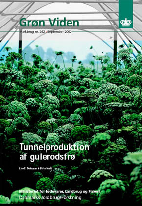 Tunnelproduktion af gulerodsfr�, Gr�n Viden Markbrug, nr. 262