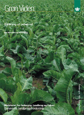 Gr�n viden, Havebrug nr. 160 - Dyrkning af peberrod