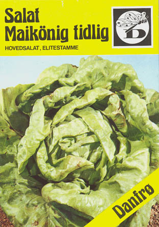 Havesalat, hovedsalat, Maik�nig, Lactuca sativa </i>L. var. <i>capitata