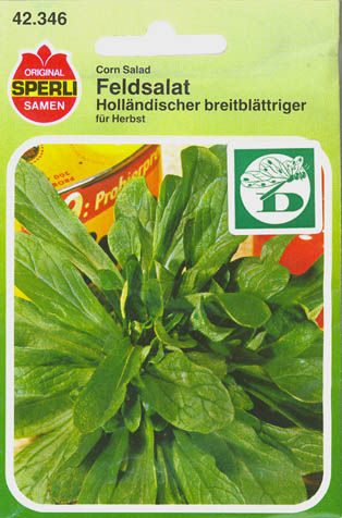 V�rsalat, Holl�ndischer Breitbl�ttiger, Valerianella