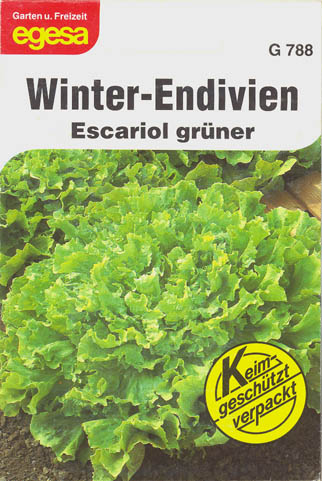 Endivie, Escariol gr�ner, Cichorium endivia </i>L.<i>