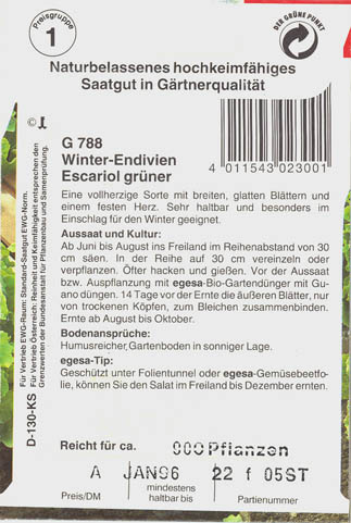 Endivie, Escariol gr�ner, Cichorium endivia </i>L.<i>