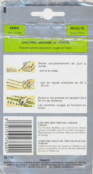 Cikorie, Sauvage de V�rone, Cichorium intybus </i>L.<i>