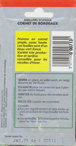 Endivie, Cornet de Bordeaux, Cichorium endivia </i>L.<i>