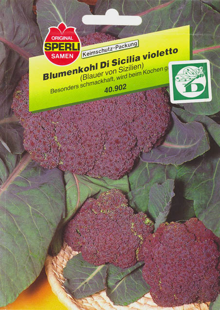 Blomk�l, Di Sicilia violetto, Brassica oleracea </i>L. var. <i>botytris