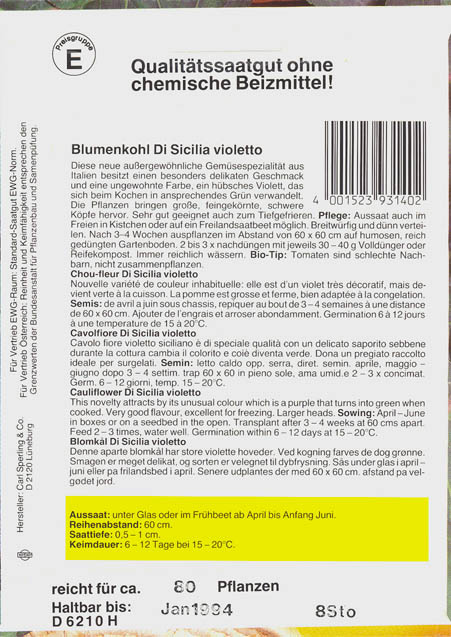Blomk�l, Di Sicilia violetto, Brassica oleracea </i>L. var. <i>botytris