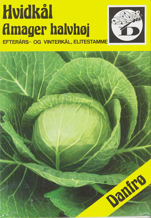 Hvidk�l, Amager halvh�j, Brassica oleracea </i>L. var. <i>alba