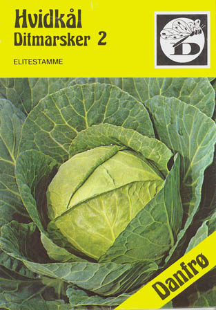 Hvidk�l, Ditmarsker 2, Brassica oleracea </i>L. var. <i>alba