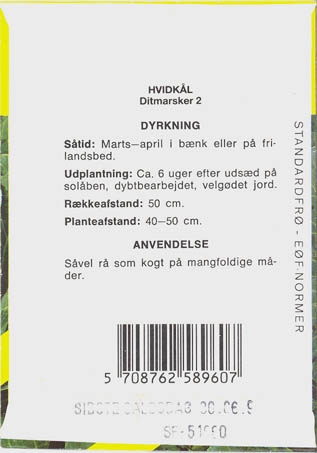 Hvidk�l, Ditmarsker 2, Brassica oleracea </i>L. var. <i>alba