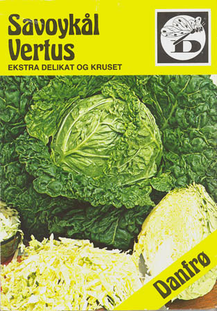 Savoyk�l, Vertus, Brassica oleracea </i>L. var. <i>sabauda
