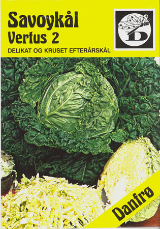 Savoyk�l, Vertus 2, Brassica oleracea </i>L. var. <i>sabauda