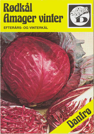 R�dk�l, Amager, Brassica oleracea </i>L. var. <i>rubra