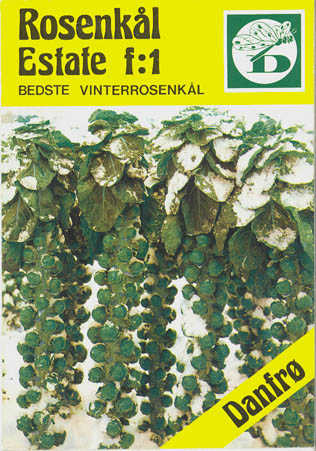 Rosenk�l, Estate F1, Brassica oleracea </i>L. var. <i>gemmifera