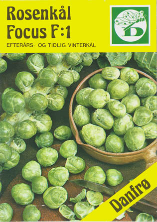 Rosenk�l, Focus F1, Brassica oleracea </i>L. var. <i>gemmifera