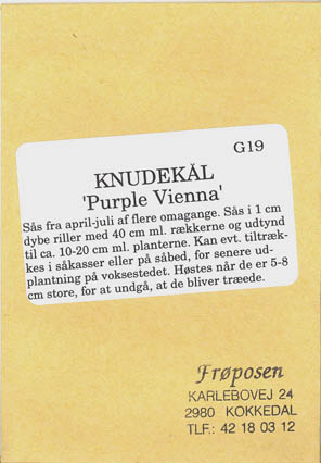 Knudek�l, Purple Vienna, Brassica oleracea </i>L. var.<I> gongylodes </i>L.