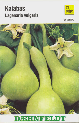 Flaskegr�skar, Kalabas, Lagenaria siceraria