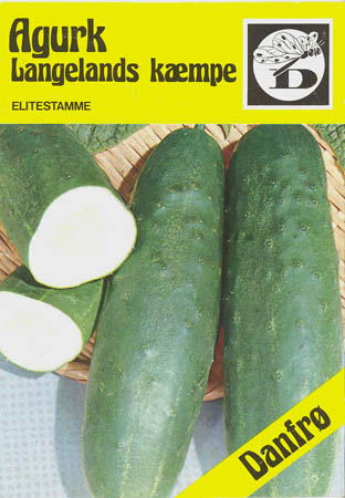 Agurk, Langelands k�mpe, Cucumis sativus </i>L.<i>