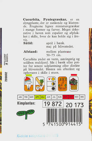 Gr�skar, Pyntegr�skar, Cucurbita