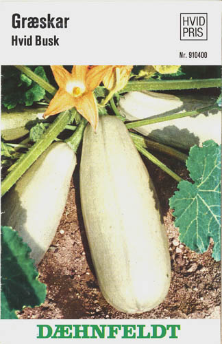 Gr�skar, Hvid busk, Cucurbita