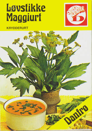 L�vstikke, L�vstikke, Levisticum officinale