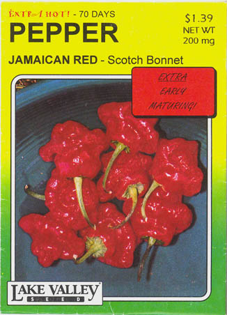 Ringb�gret chili, Scotch Bonnet, Capsicum chinense