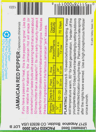 Ringb�gret chili, Scotch Bonnet, Capsicum chinense