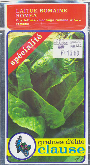 Havesalat, bindsalat, Romea, Lactuca sativa </i>L. var. <i>longifolia.