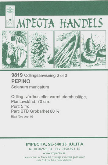 Melonp�re, Pepino, Solanum muricatum