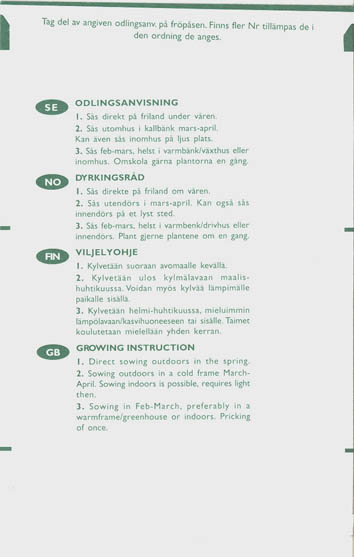 Melonp�re, Pepino, Solanum muricatum