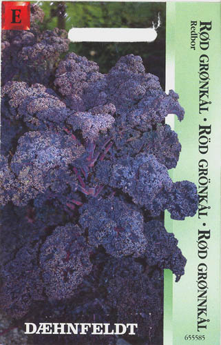 Gr�nk�l, Redbor, Brassica oleracea </i>L. var. <i>sabellica