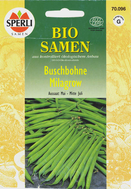 Haveb�nne, Milagrow, Phaseolus vulgaris </i>L.<i>