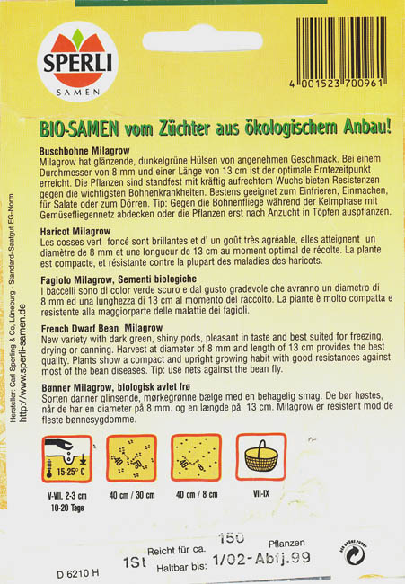 Haveb�nne, Milagrow, Phaseolus vulgaris </i>L.<i>