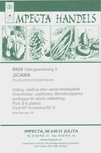 Brasiliansk Yamsb�nne, Jicama, Pachyrhizus tuberosus