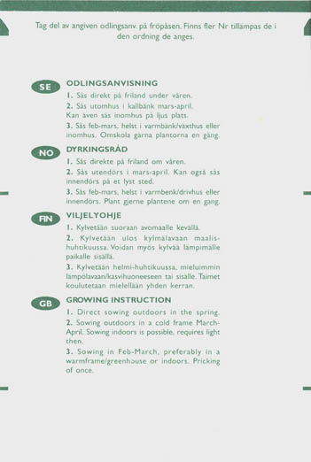Brasiliansk Yamsb�nne, Jicama, Pachyrhizus tuberosus